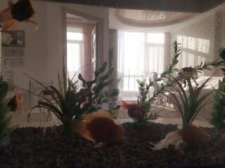 Апартаменты Квартира апартаменты посуточно в Аркадии Одесса Апартаменты с 1 спальней-11