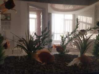 Апартаменты Квартира апартаменты посуточно в Аркадии Одесса Апартаменты с 1 спальней-19